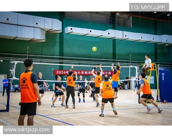 深圳排球队进攻革新探索新战术提升整体实力与比赛表现