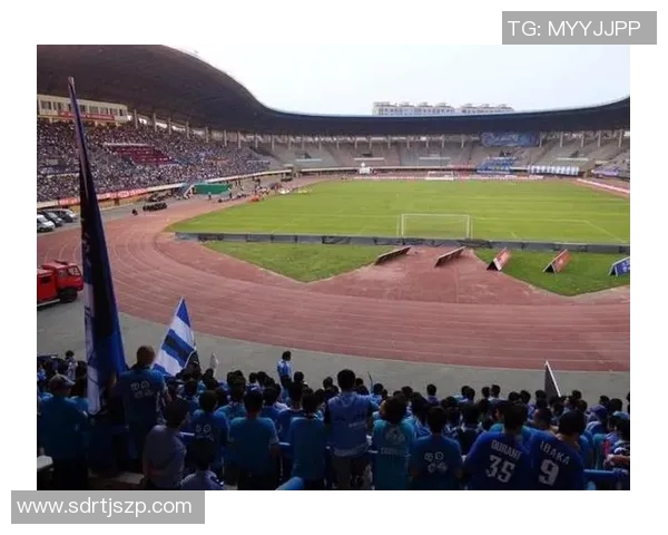 大连足球之星的辉煌历程与成就回顾